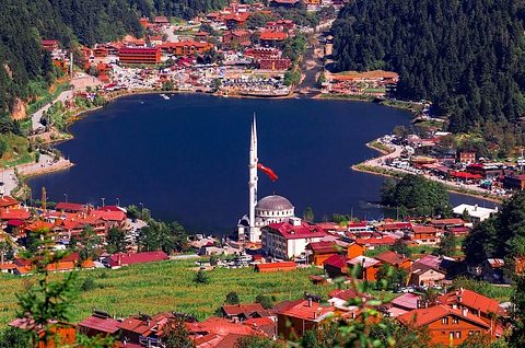 Trabzon aile hekimliği tahlil sonuçları